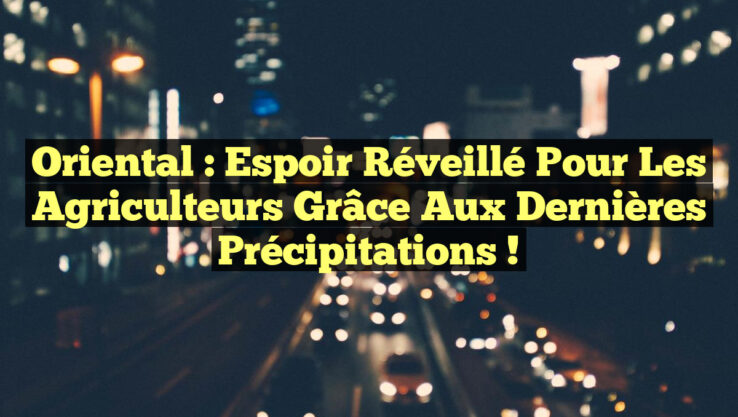 Oriental : Espoir Réveillé pour les Agriculteurs grâce aux Dernières Précipitations !