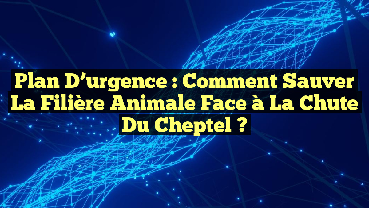Plan d&rsquo;urgence : Comment sauver la filière animale face à la chute du cheptel ?