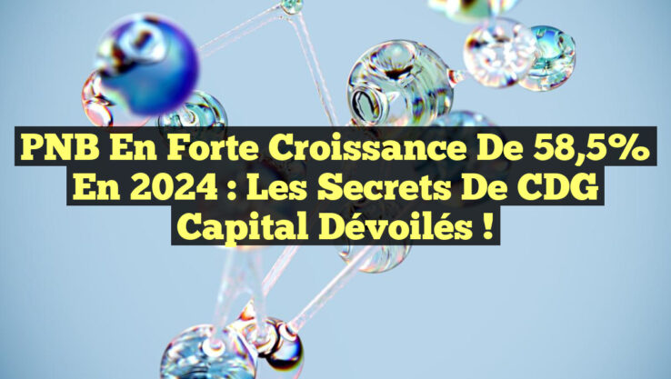 PNB en Forte Croissance de 58,5% en 2024 : Les Secrets de CDG Capital Dévoilés !