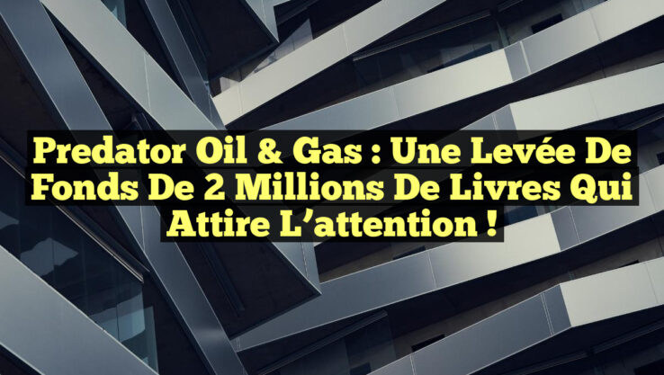Predator Oil & Gas : Une levée de fonds de 2 millions de livres qui attire l’attention !