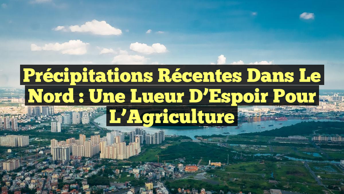 Précipitations Récentes dans le Nord : Une Lueur d&rsquo;Espoir pour l&rsquo;Agriculture