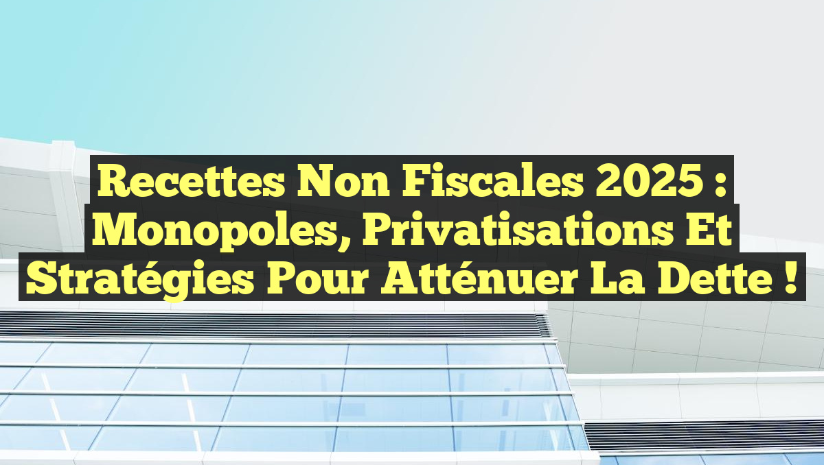 Recettes Non Fiscales 2025 : Monopoles, Privatisations et Stratégies pour Atténuer la Dette !