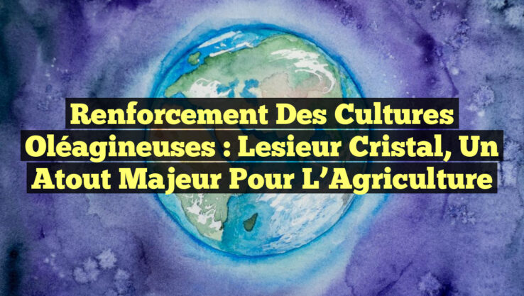Renforcement des Cultures Oléagineuses : Lesieur Cristal, un Atout Majeur pour l’Agriculture