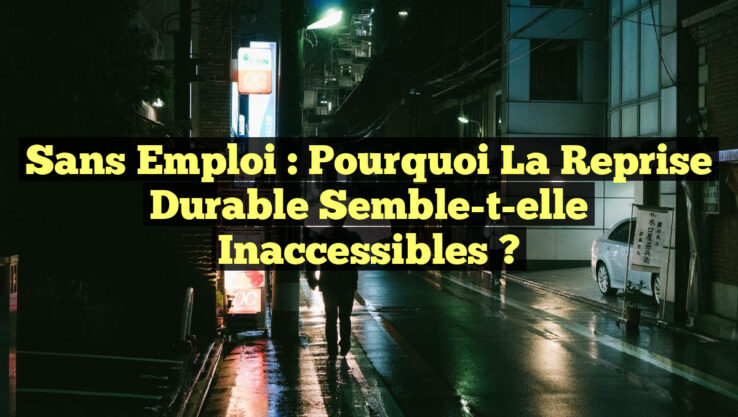 Sans emploi : Pourquoi la reprise durable semble-t-elle inaccessibles ?