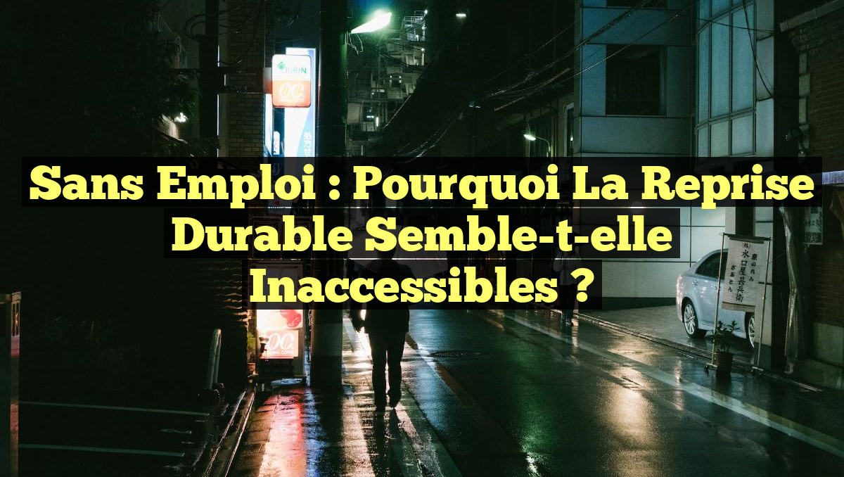 Sans emploi : Pourquoi la reprise durable semble-t-elle inaccessibles ?