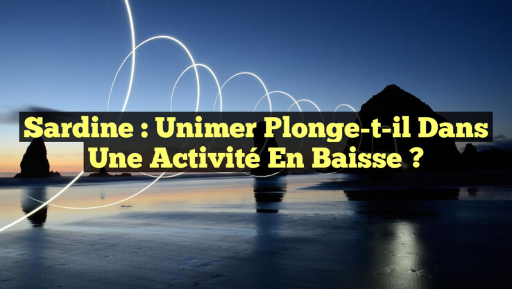 Sardine : Unimer Plonge-t-il dans une Activité en Baisse ?