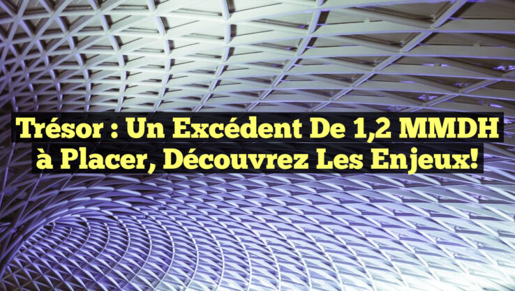 Trésor : Un excédent de 1,2 MMDH à placer, découvrez les enjeux!
