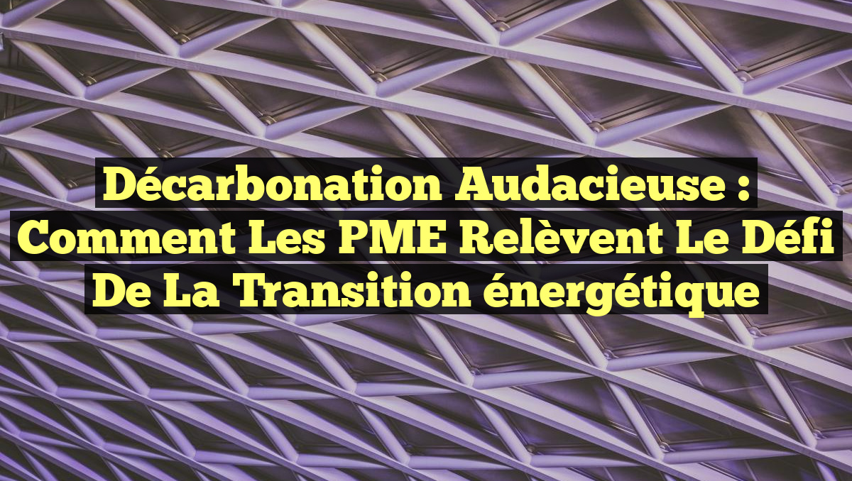 Décarbonation audacieuse : Comment les PME relèvent le défi de la transition énergétique