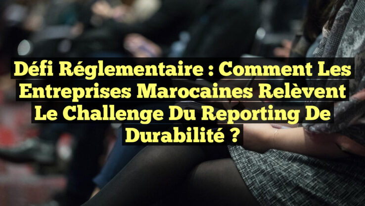 Défi réglementaire : Comment les entreprises marocaines relèvent le challenge du reporting de durabilité ?