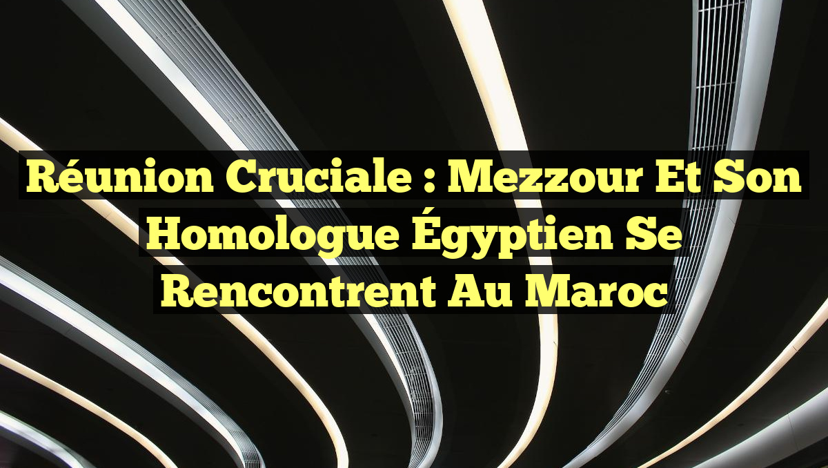Réunion Cruciale : Mezzour et Son Homologue Égyptien se Rencontrent au Maroc