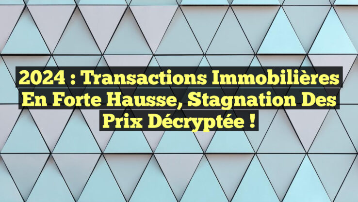 2024 : Transactions Immobilières en Forte Hausse, Stagnation des Prix Décryptée !