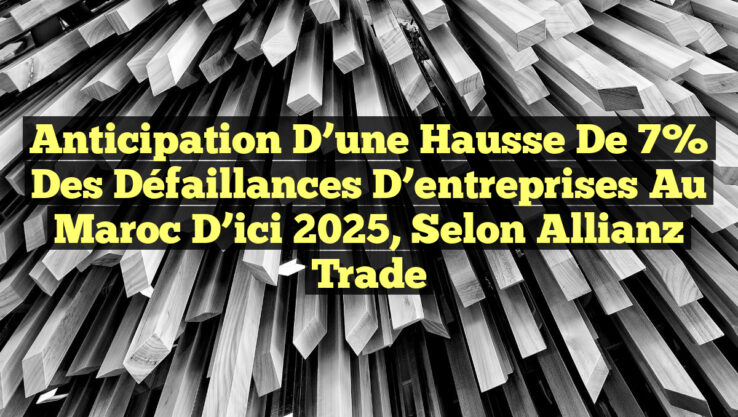 Anticipation d’une hausse de 7% des défaillances d’entreprises au Maroc d’ici 2025, selon Allianz Trade