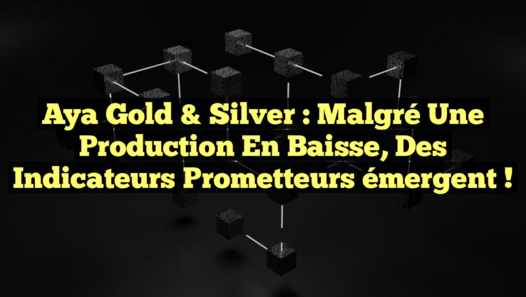 Aya Gold & Silver : Malgré une production en baisse, des indicateurs prometteurs émergent ! Aya Gold & Silver : Malgré une production en baisse, des indicateurs prometteurs émergent !