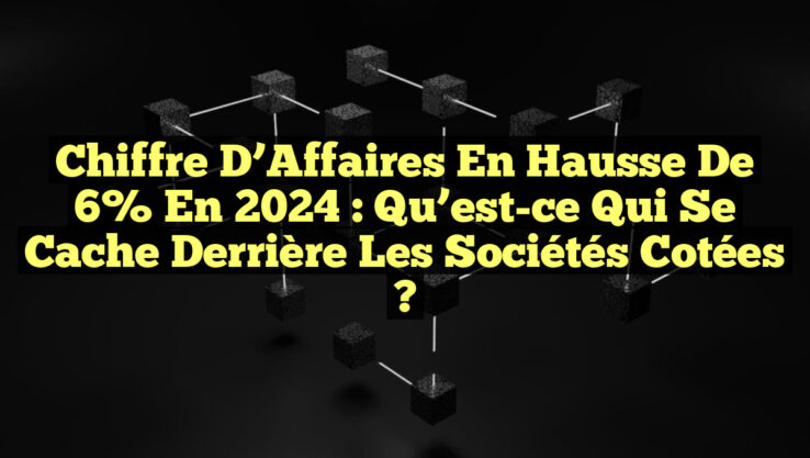 Chiffre d’Affaires en Hausse de 6% en 2024 : Qu’est-ce qui se Cache Derrière les Sociétés Cotées ? Chiffre d’Affaires en Hausse de 6% en 2024 : Qu’est-ce qui se Cache Derrière les Sociétés Cotées ?