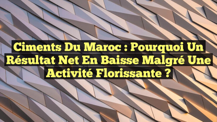 Ciments du Maroc : Pourquoi un résultat net en baisse malgré une activité florissante ?