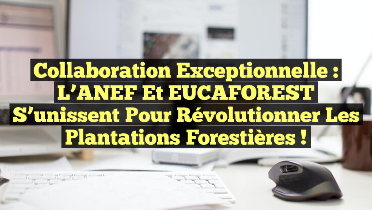 Collaboration exceptionnelle : l’ANEF et EUCAFOREST s’unissent pour révolutionner les plantations forestières !