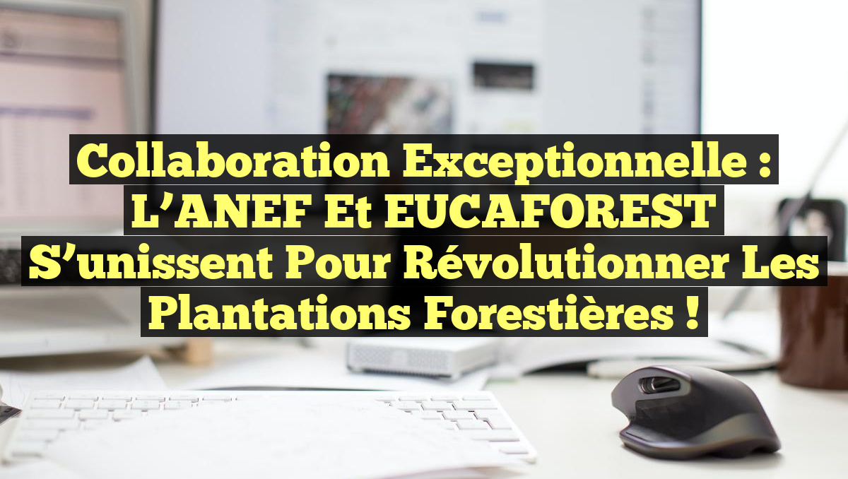 Collaboration exceptionnelle : l&rsquo;ANEF et EUCAFOREST s&rsquo;unissent pour révolutionner les plantations forestières !