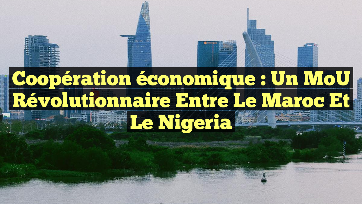 Coopération économique : Un MoU révolutionnaire entre le Maroc et le Nigeria