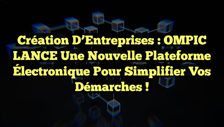 Création d’Entreprises : OMPIC LANCE une Nouvelle Plateforme Électronique pour Simplifier vos Démarches !