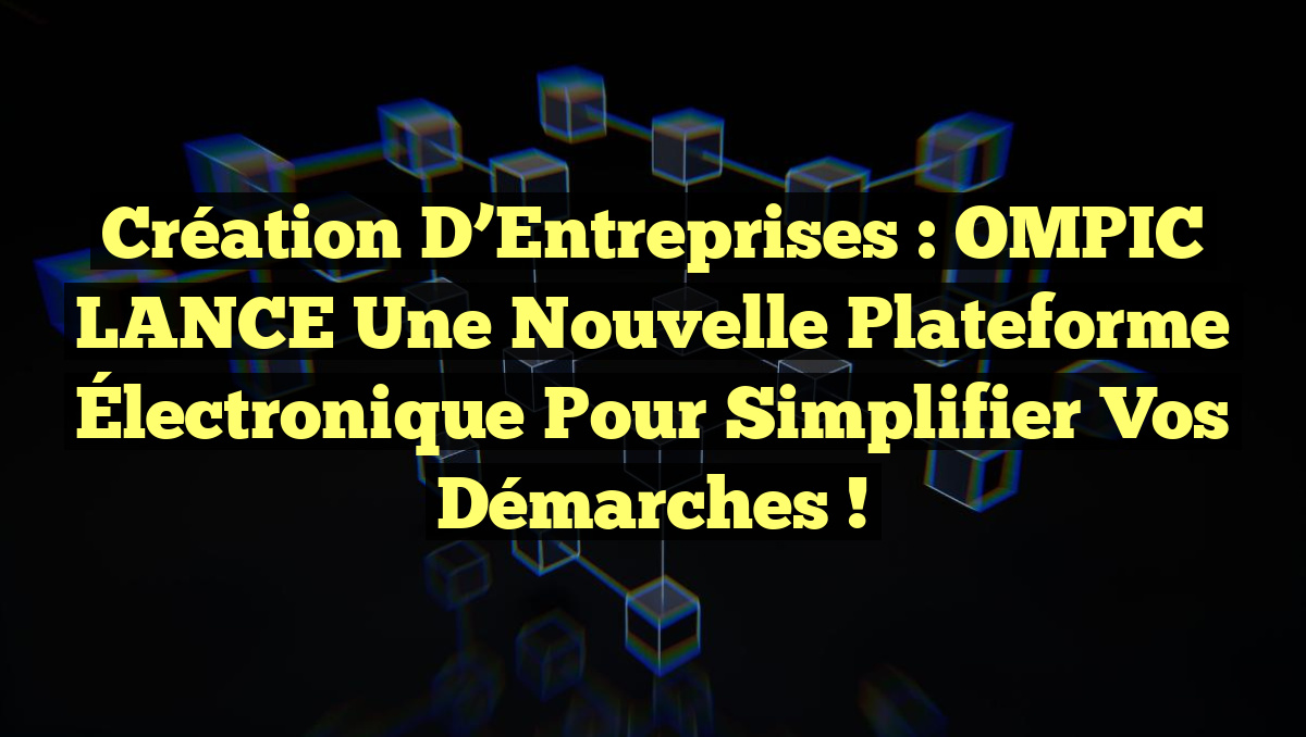 Création d&rsquo;Entreprises : OMPIC LANCE une Nouvelle Plateforme Électronique pour Simplifier vos Démarches !