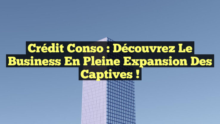 Crédit Conso : Découvrez le Business En Pleine Expansion des Captives !