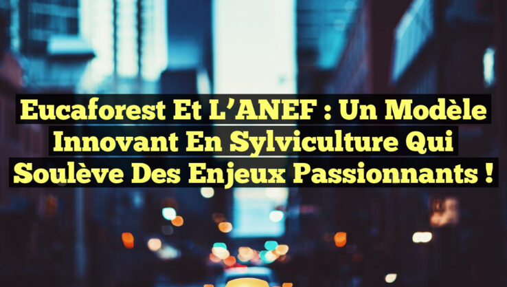 Eucaforest et l’ANEF : Un modèle innovant en sylviculture qui soulève des enjeux passionnants !