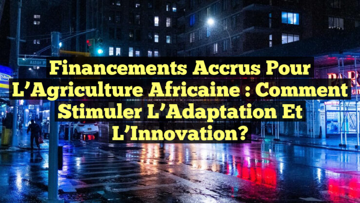 Financements Accrus pour l’Agriculture Africaine : Comment Stimuler l’Adaptation et l’Innovation?