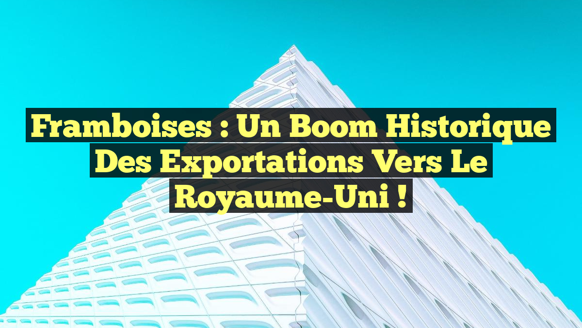 Framboises : Un Boom Historique des Exportations vers le Royaume-Uni !