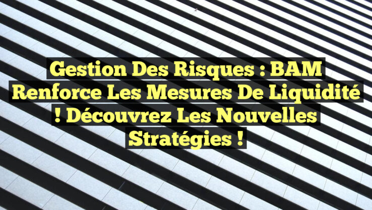 Gestion des Risques : BAM Renforce les Mesures de Liquidité ! Découvrez les Nouvelles Stratégies !