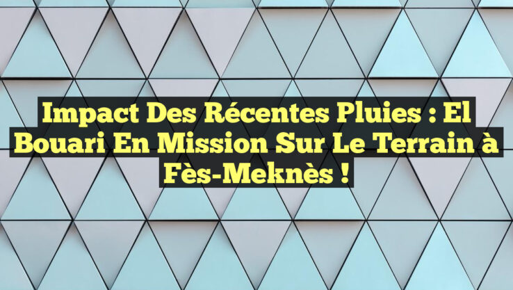 Impact des Récentes Pluies : El Bouari en Mission sur le Terrain à Fès-Meknès !