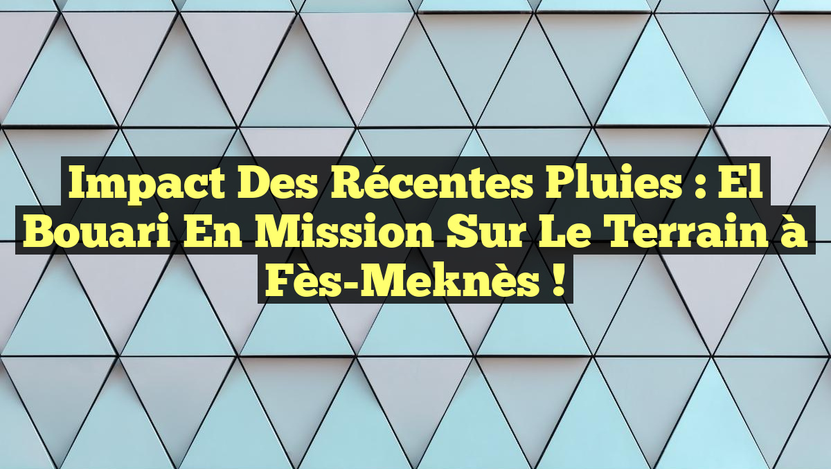 Impact des Récentes Pluies : El Bouari en Mission sur le Terrain à Fès-Meknès !