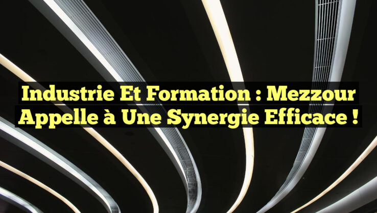Industrie et Formation : Mezzour appelle à une Synergie Efficace !