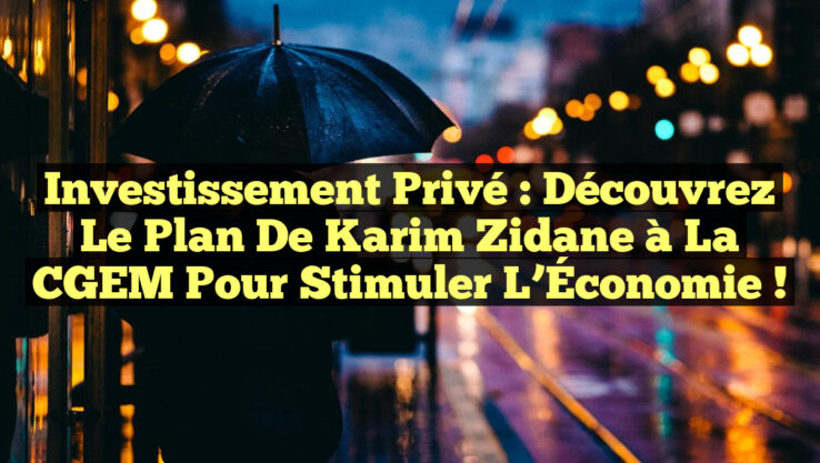Investissement Privé : Découvrez le Plan de Karim Zidane à la CGEM pour Stimuler l’Économie !