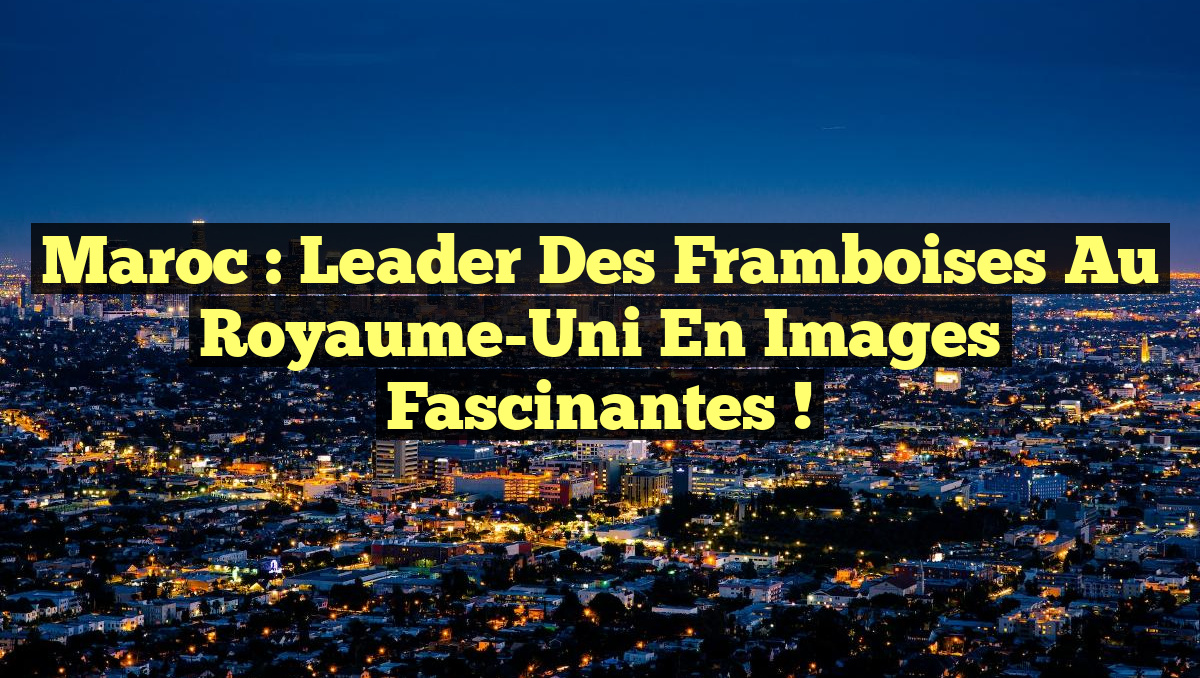 Maroc : Leader des framboises au Royaume-Uni en images fascinantes !