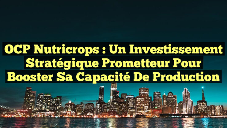 OCP Nutricrops : un investissement stratégique prometteur pour booster sa capacité de production