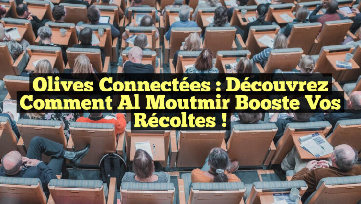 Olives Connectées : Découvrez comment Al Moutmir Booste vos Récoltes !