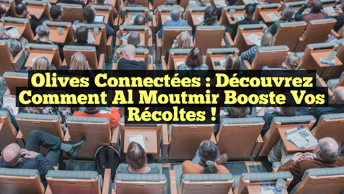 Olives Connectées : Découvrez comment Al Moutmir Booste vos Récoltes !