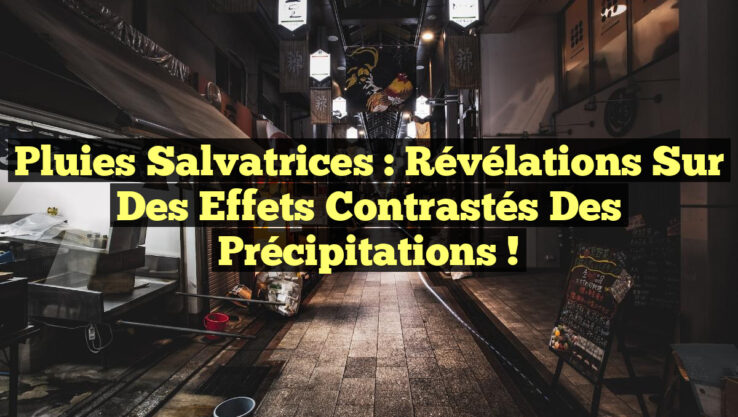 Pluies salvatrices : révélations sur des effets contrastés des précipitations !