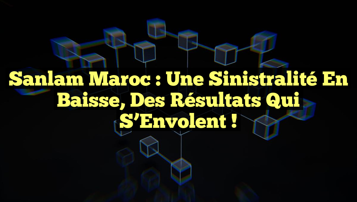 Sanlam Maroc : Une Sinistralité en Baisse, des Résultats qui s&rsquo;Envolent !
