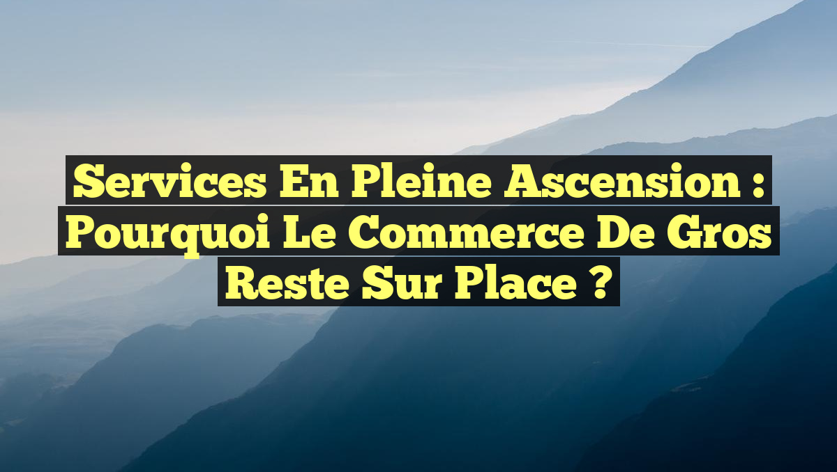Services en Pleine Ascension : Pourquoi le Commerce de Gros Reste sur Place ?