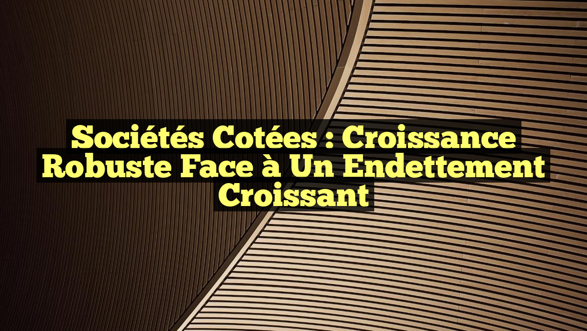 Sociétés cotées : Croissance robuste face à un endettement croissant