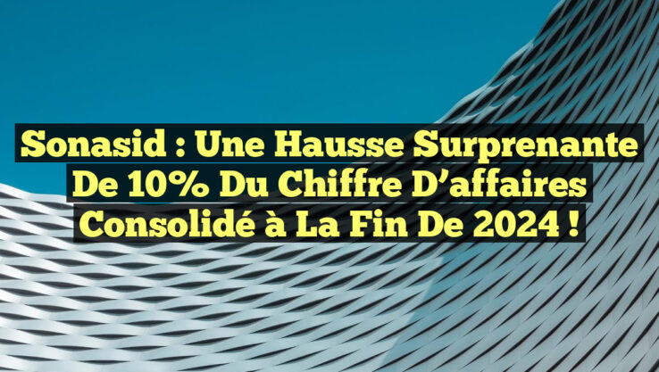 Sonasid : Une hausse surprenante de 10% du chiffre d’affaires consolidé à la fin de 2024 !