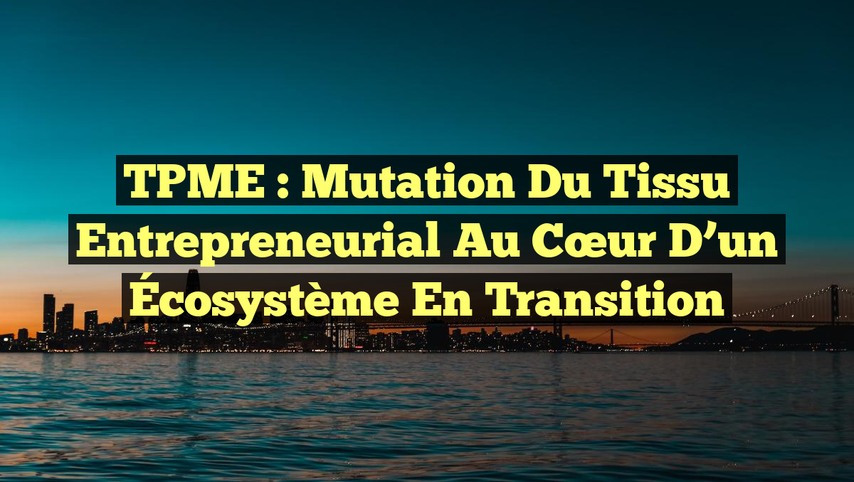 TPME : Mutation du Tissu Entrepreneurial au Cœur d’un Écosystème en Transition