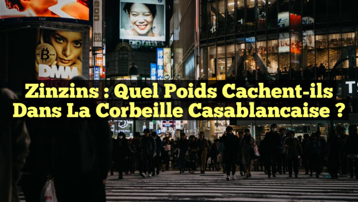Zinzins : Quel poids cachent-ils dans la corbeille casablancaise ?