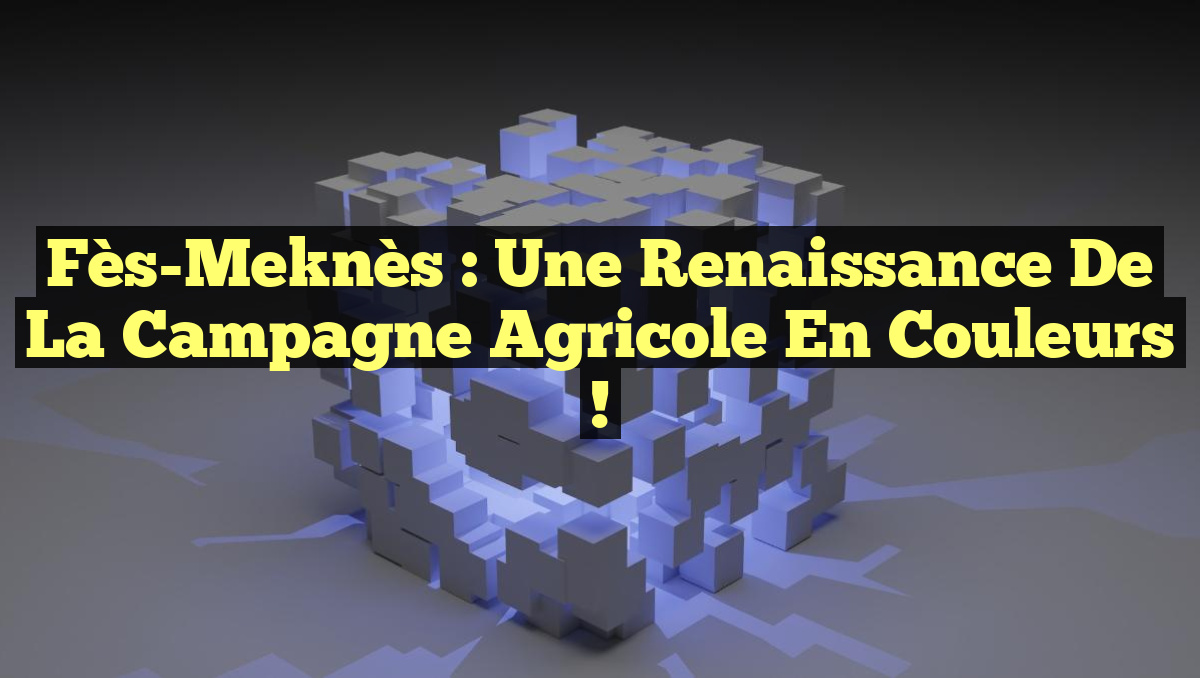 Fès-Meknès : Une Renaissance de la Campagne Agricole en Couleurs !