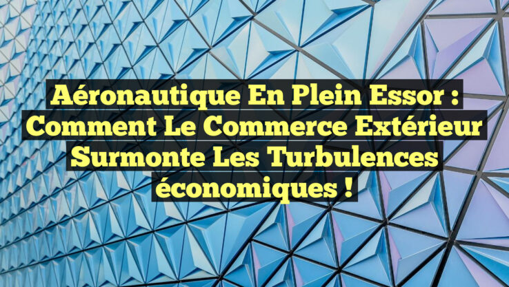 Aéronautique en plein essor : Comment le commerce extérieur surmonte les turbulences économiques !