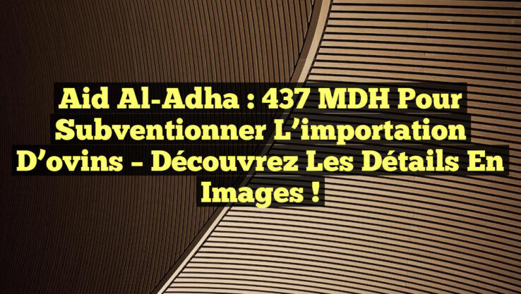 Aid Al-Adha : 437 MDH pour subventionner l’importation d’ovins – Découvrez les détails en images !