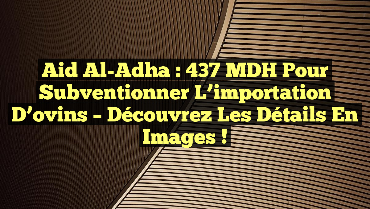 Aid Al-Adha : 437 MDH pour subventionner l&rsquo;importation d&rsquo;ovins – Découvrez les détails en images !