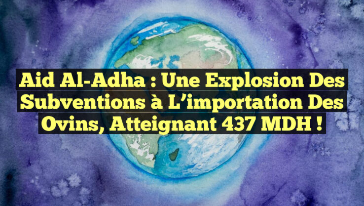 Aid Al-Adha : Une explosion des subventions à l’importation des ovins, atteignant 437 MDH !