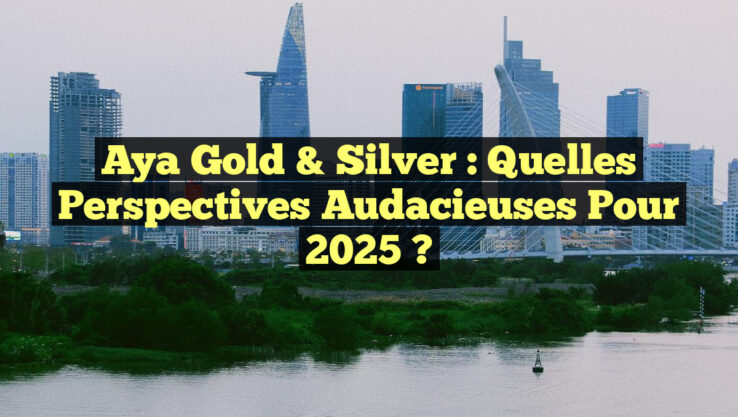 Aya Gold & Silver : Quelles perspectives audacieuses pour 2025 ?